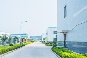 自公司成立以來，以振興和發(fā)展我國貴金屬催化劑和催化工藝為己任，已研究、開發(fā)出了活性炭負(fù)載，氧化物負(fù)載，有機(jī)物負(fù)載貴金屬催化劑，均相催化劑，手性催化劑，專用催化劑等上百種催化劑，以及一百多種催化合成/反應(yīng)工藝技術(shù)。